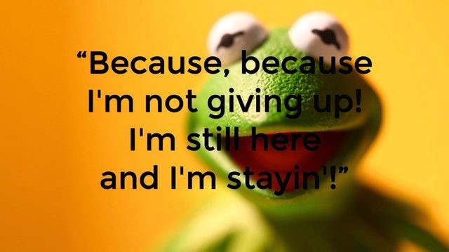 Kermit The Frog 9 Inspirational Quotes From Kermit The Frog 8 17 15